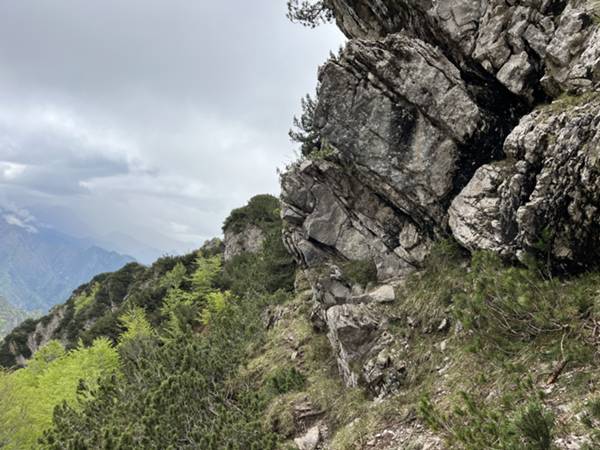 passaggio in cengia sotto la parete, sopra i densi mughi