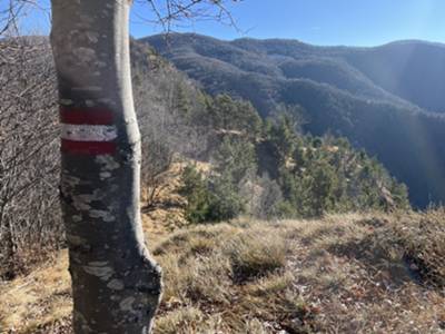 cresta del Lareseit: sullo sfondo monte Rossa