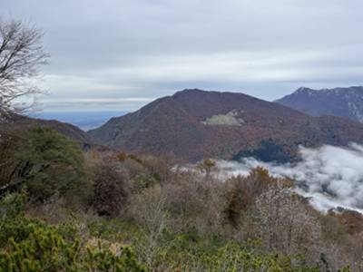 monte Fara