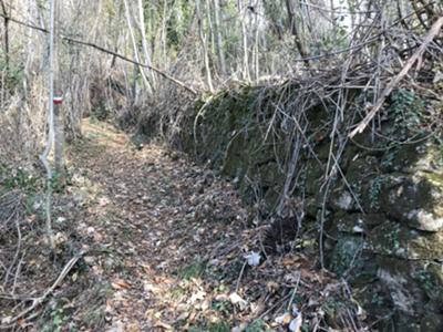 località Roveredo - Sentiero Frassati verso Madonna della Stangada