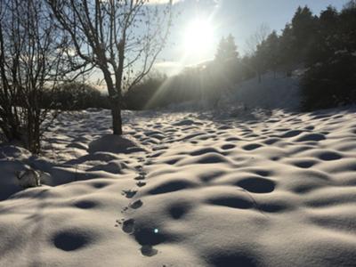 la valle dei venti - gennaio 2021