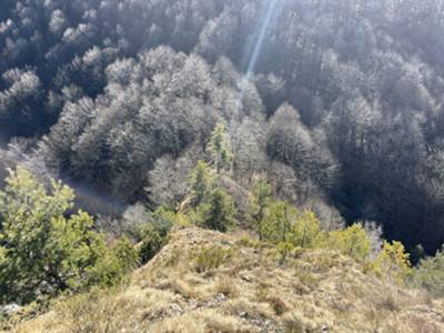 tratto critico: discesa a forcella Cesilar