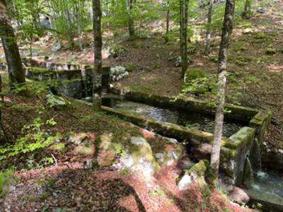 vasconi di raccolta acqua ad 1km da villa Emma