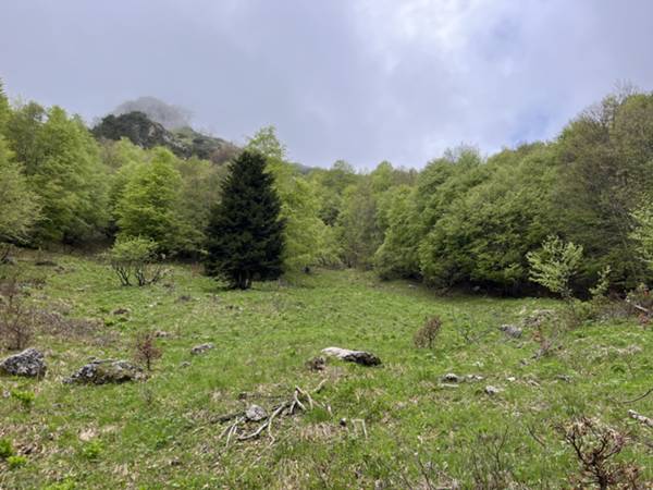 eccoci al crocevia nel pratino