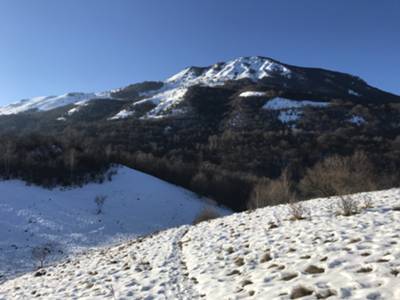 vista sulla cima della Pala d'Altei da Sovra la Plana