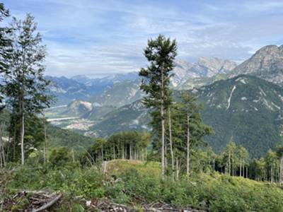 vista su Claut poco oltre Pian del Muscol