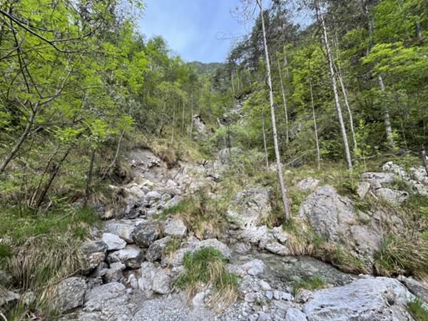 attravresamento rio Fosata poco dopo inizio sentiero