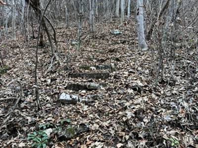 salita ripida su scala in pietra sepolta da foglie