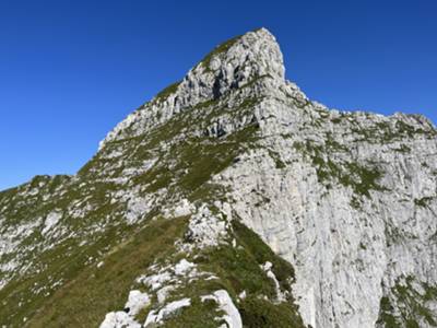 a Nord sguardo verso cima Manera