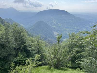 vista su Pradis e monte Pala