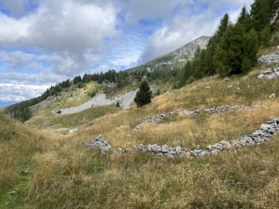 ruderi nei pressi di casera Palantina