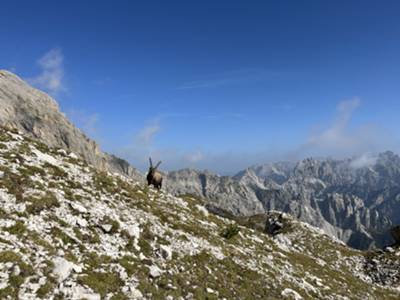 arrivo in forcella Val del Drap