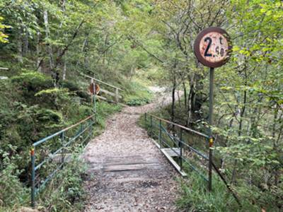 pinte nei pressi delle seconde cascate dell'Arzino