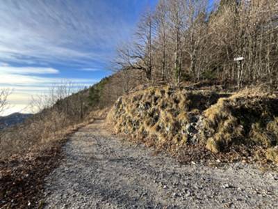 riprendiamo il sentiero dopo un breve tratto su pista forestale