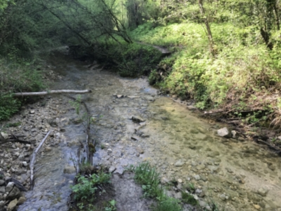 attraversamento torrente Gerchia