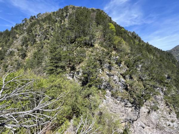 vista sul pendio scosceso di discesa da Las Tavuelas