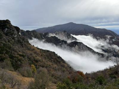 palabarzana e sullo sfondo il monte Jouf