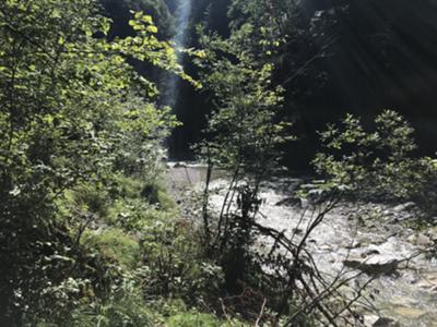 decorriamo a fianco del torrente