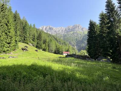 casera Col d'Aniel