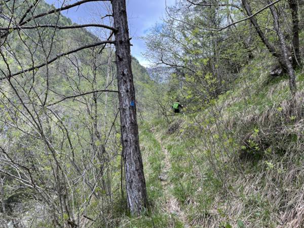 inizio sentiero verso Chiaschiàrmas lungo il torrente Giaveada