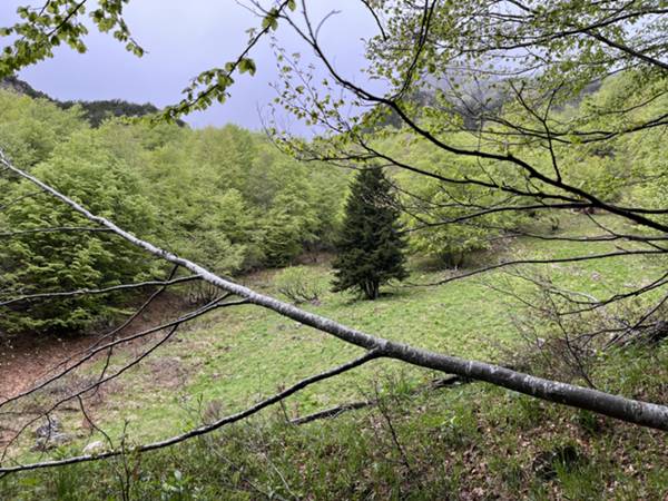 eccoci al crocevia nel pratino