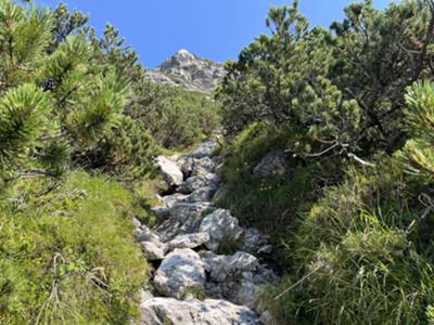 passaggio verticale su torrente tra mughi