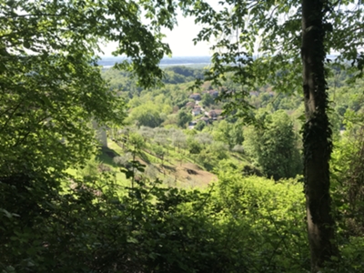 Oltrerugo dal troi dai Bosc di Tonei