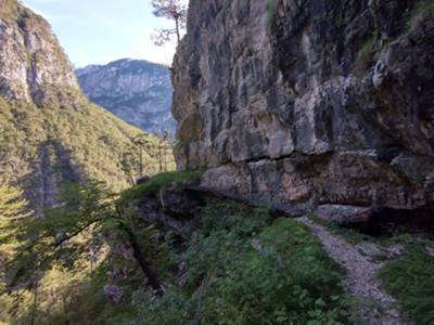 passerella di legno