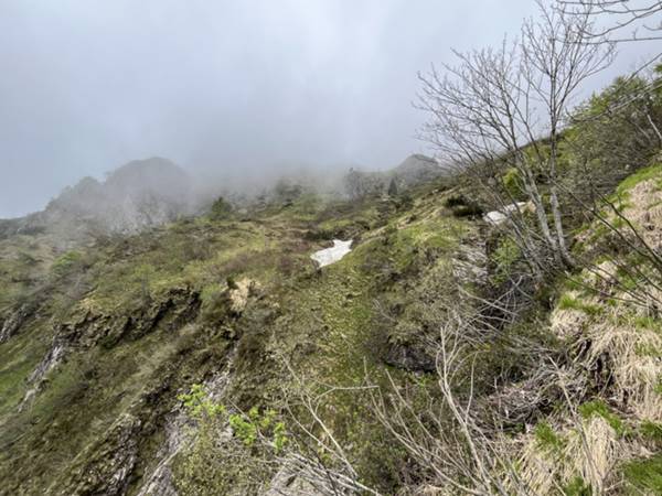 prati alpini di Plan Salenc