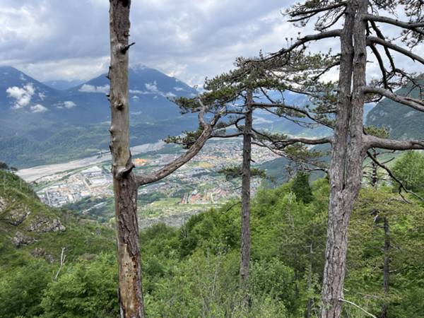 vista sulla piana di Tolmezzo