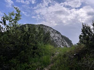 compare il cocuzzolo di monte Provagna