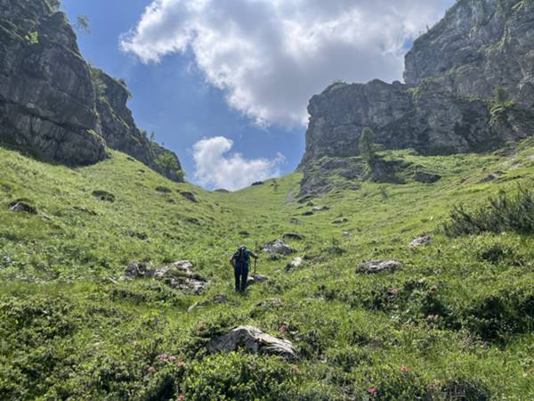 forcella Pierasfezza