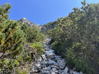 passaggio verticale su torrente tra mughi