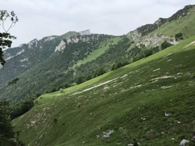 Plan dei Giai: in lontananza lo spigolo del monte Borgà