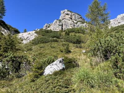 salita per prateria alpina