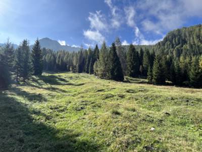 i prati dei ruderi di casera Resettum