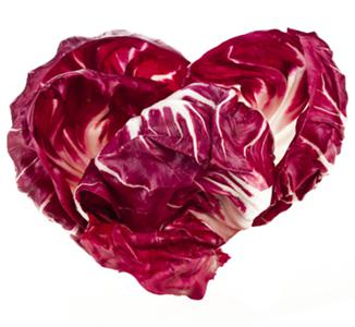 Radicchio rosso