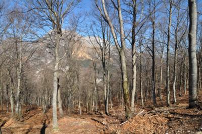 Cresta Nord del monte Jouf - Vista un pò nascosta sul monte Raut