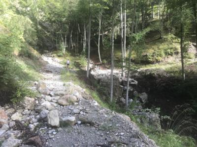 parte alta di strada val Feron: evidenti segni della tempesta Vaia