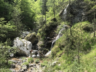 Passaggio su cascatella da affluente di torrente Molassa, sotto bivacco Molassa 