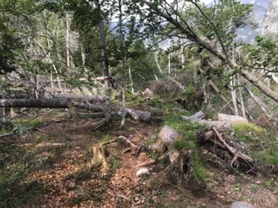 inizio tratto di sentiero tra sfasciumi di alberi...ma si passa agevolmente!