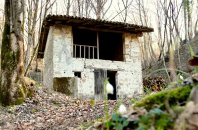 Fanna - salita alla Madonna di Roveredo - foto Walter Bruni