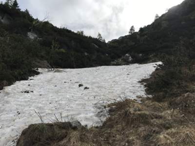 Residui di nevaio