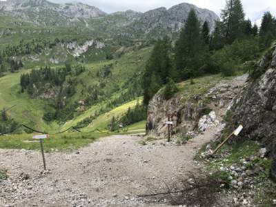 Inizio sentiero dopo breve discesa su pista forestale