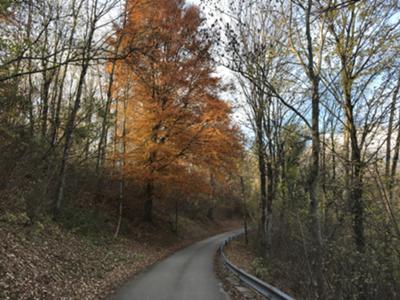 loc. Valdestali - strada da Madonna della Stangada