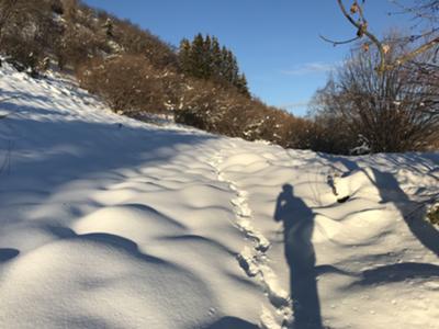 la valle dei venti - gennaio 2021