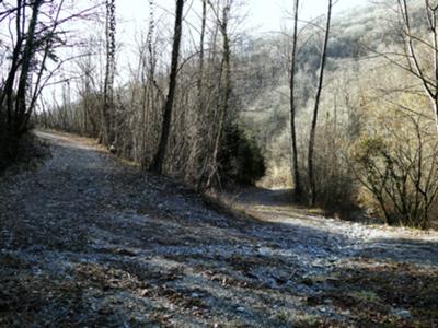 Fanna - salita alla Madonna di Roveredo - foto Walter Bruni