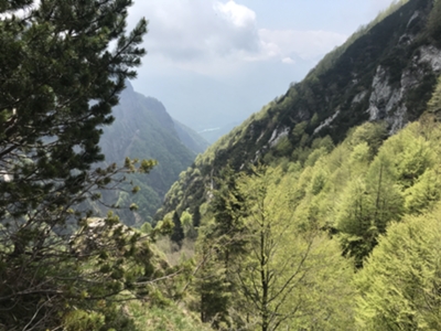 lago di Barcis da forcella Giaveid