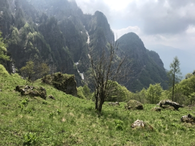 prato alpino poco prima di arrivo a forcella Giaveid