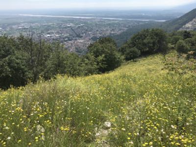 Salita verso la cima del San Lorenzo